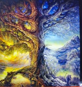 Anioły i energia drzew