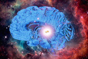 ewolucja świadomości